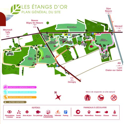 PLAN-GENERAL-ETANG-DOR-2019-